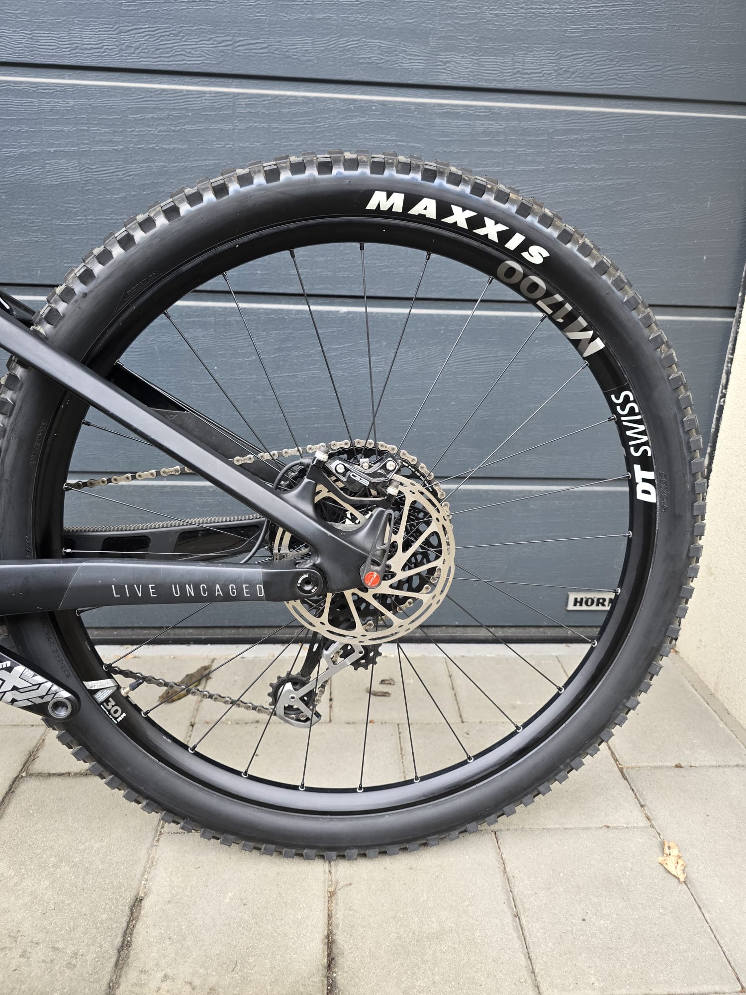 YT Izzo Carbon